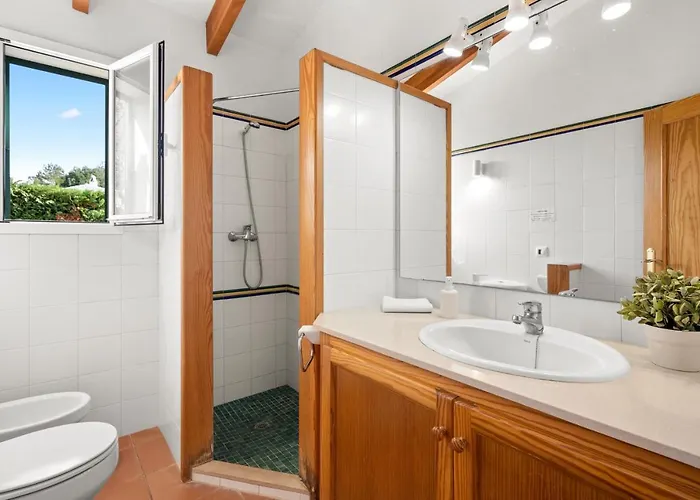 Bini Delfi * سانت يويس